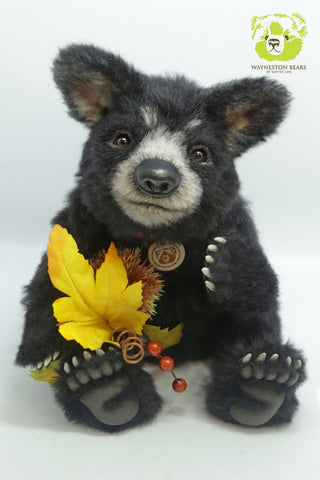 Artist Bear, Americano by Wayneston Bears