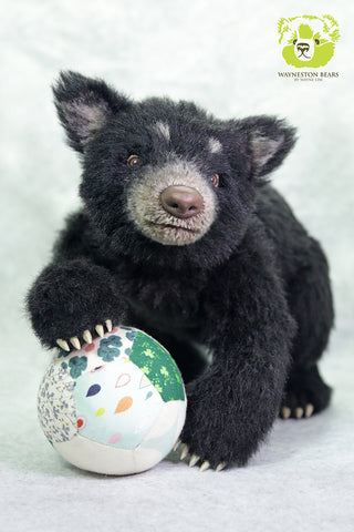 Artist Bear, Chance by Wayneston Bears