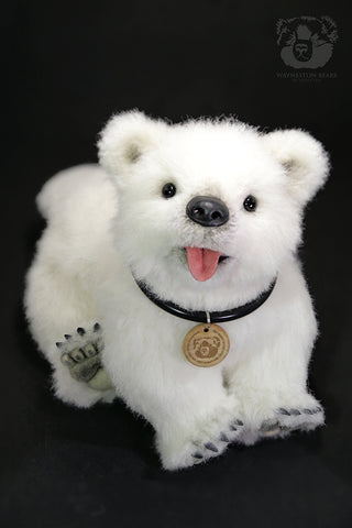 Intermediate (4-Day Workshop) Einstein Polar Cub by Wayneston Bears