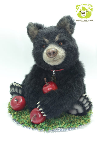 Artist Bear, Pomme by Wayneston Bears