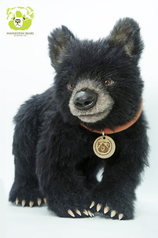 Artist Bear, Sirius by Wayneston Bears