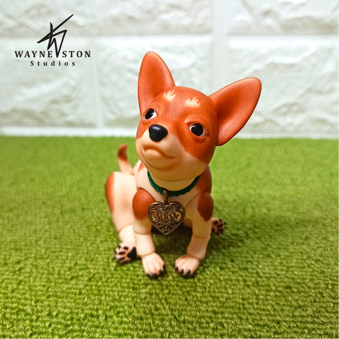 Chihuahua Pico