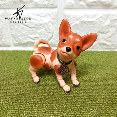 Chihuahua Pico