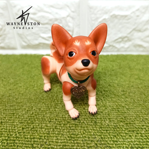 Chihuahua Pico