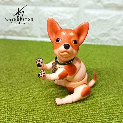 Chihuahua Pico