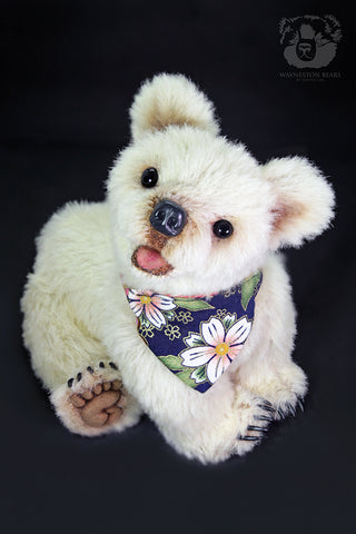 Artist Bear, Nimbus by Wayneston Bears