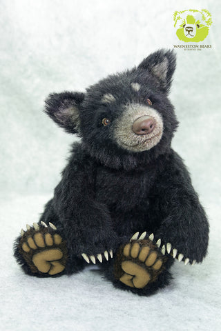 Artist Bear, Chance by Wayneston Bears