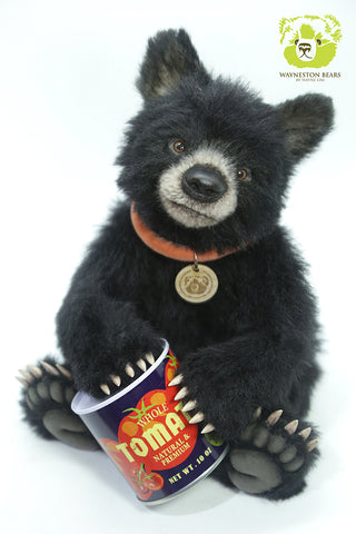 Artist Bear, Sirius by Wayneston Bears